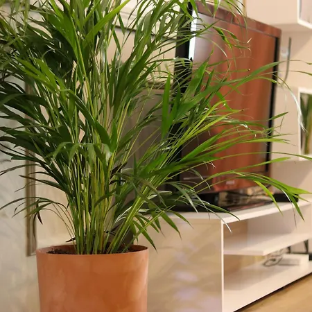 Appartement Johan's Tirana