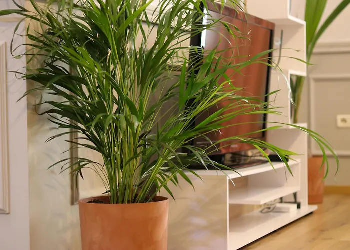 Apartment Johan's Tirana